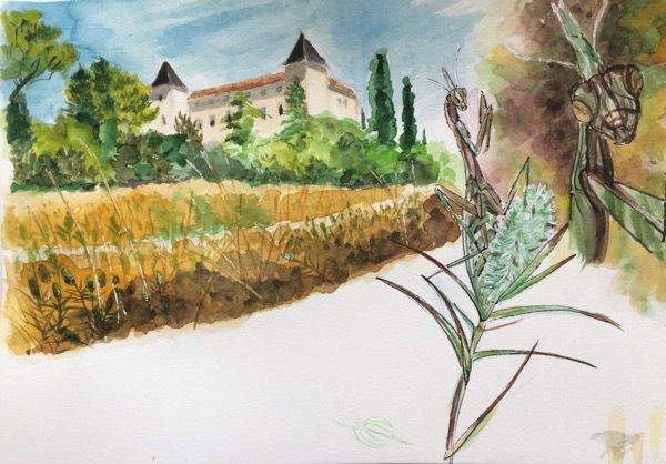 L’atelier carnet de voyage en aquarelle